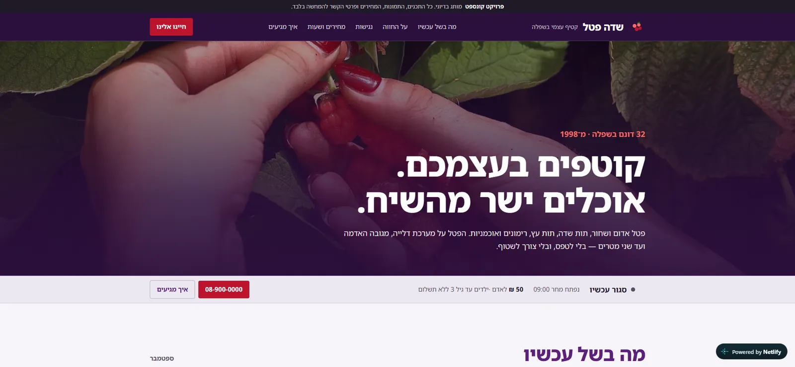 Sde Petel pick-your-own farm site